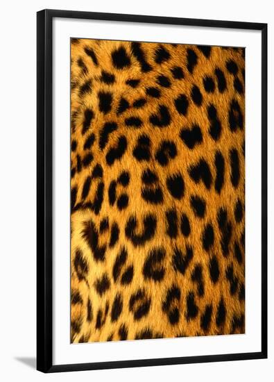 Jaguar Fur-Siede Preis-Framed Photographic Print