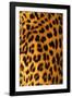 Jaguar Fur-Siede Preis-Framed Photographic Print