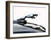 Jaguar hood ornament-Clive Branson-Framed Photo