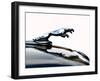 Jaguar hood ornament-Clive Branson-Framed Photo