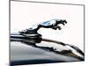 Jaguar hood ornament-Clive Branson-Mounted Photo