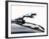 Jaguar hood ornament-Clive Branson-Framed Photo