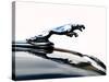 Jaguar hood ornament-Clive Branson-Stretched Canvas