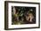 Jaguar in Rainforest-W. Perry Conway-Framed Photographic Print