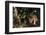 Jaguar in Rainforest-W. Perry Conway-Framed Photographic Print