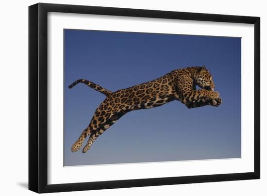 Jaguar Jumping through Sky-DLILLC-Framed Photographic Print