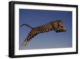 Jaguar Jumping through Sky-DLILLC-Framed Photographic Print