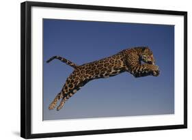 Jaguar Jumping through Sky-DLILLC-Framed Photographic Print