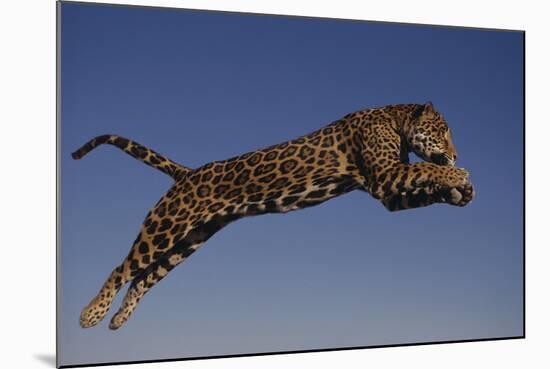 Jaguar Jumping through Sky-DLILLC-Mounted Photographic Print