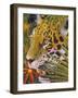 Jaguar Jungle-Graeme Stevenson-Framed Giclee Print