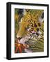 Jaguar Jungle-Graeme Stevenson-Framed Giclee Print