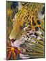 Jaguar Jungle-Graeme Stevenson-Mounted Giclee Print