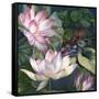 Jaguar Lily Pond-Bill Jackson-Framed Stretched Canvas