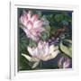 Jaguar Lily Pond-Bill Jackson-Framed Giclee Print