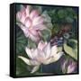 Jaguar Lily Pond-Bill Jackson-Framed Stretched Canvas