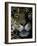 Jaguar, Madre de Dios, Peru-Andres Morya-Framed Photographic Print