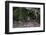 Jaguar, Pantanal, Mato Grosso, Brazil.-Sergio Pitamitz-Framed Photographic Print