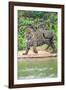 Jaguar (Panthera onca) at riverside, Pantanal Wetlands, Brazil-null-Framed Photographic Print