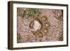 Jaguar (Panthera onca) front footprint in mud after rain shower, Belize-Chris & Tilde Stuart-Framed Photographic Print