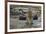 Jaguar (Panthera onca) male drinking, Cuiaba River, Pantanal, Brazil-Jeff Foott-Framed Photographic Print