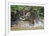 Jaguar (Panthera onca) male, hunting Capybara, Cuiaba River, Pantanal, Brazil-Jeff Foott-Framed Photographic Print