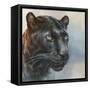 Jaguar Presence-Dina Perejogina-Framed Stretched Canvas