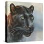 Jaguar Presence-Dina Perejogina-Stretched Canvas