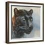 Jaguar Presence-Dina Perejogina-Framed Art Print