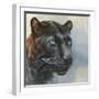 Jaguar Presence-Dina Perejogina-Framed Art Print