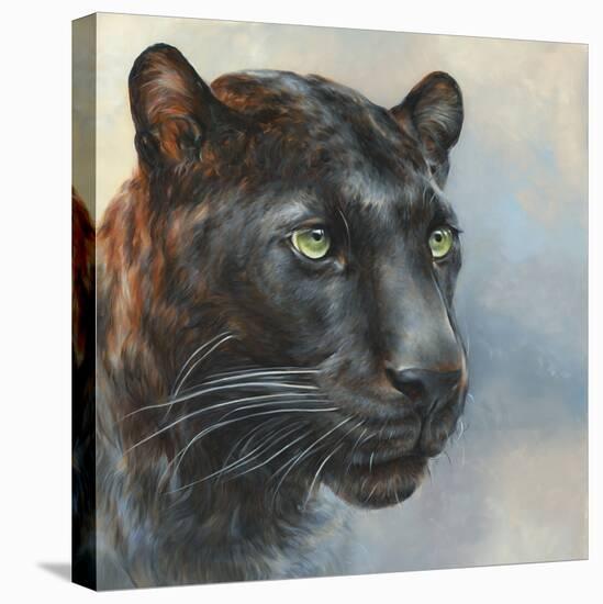 Jaguar Presence-Dina Perejogina-Stretched Canvas