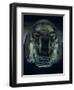 Jaguar-Shaped Receptacle for Hearts of Sacrifice Victims, Templo Mayor, Aztec, Mexico-Kenneth Garrett-Framed Photographic Print