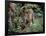 Jaguar Walking Through the Forest, Belize-Lynn M^ Stone-Framed Photographic Print