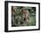 Jaguar Walking Through the Forest, Belize-Lynn M^ Stone-Framed Photographic Print