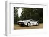 Jaguar XJ220R 1993-Simon Clay-Framed Photographic Print