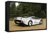 Jaguar XJ220R 1993-Simon Clay-Framed Stretched Canvas