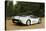 Jaguar XJ220R 1993-Simon Clay-Stretched Canvas