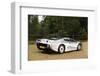 Jaguar XJ220R 1993-Simon Clay-Framed Photographic Print