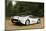 Jaguar XJ220R 1993-Simon Clay-Mounted Photographic Print