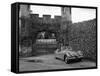 Jaguar XK120 Sports Car-null-Framed Stretched Canvas