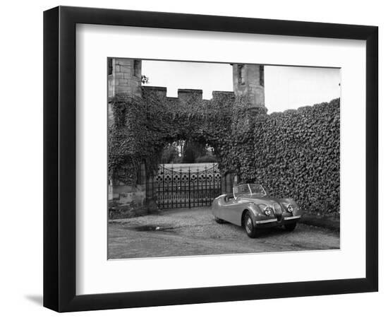 Premium Photographic Print, , large