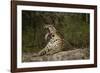 Jaguar Yawning-MaryAnn McDonald-Framed Photographic Print