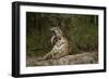 Jaguar Yawning-MaryAnn McDonald-Framed Photographic Print