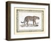 Jaguar-null-Framed Art Print