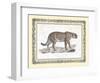 Jaguar-null-Framed Art Print