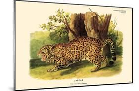 Jaguar-null-Mounted Poster