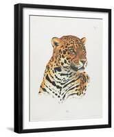 Jaguar-Sean Bollar-Framed Collectable Print