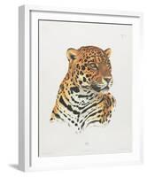 Jaguar-Sean Bollar-Framed Collectable Print