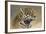 Jaguar-Kalon Baughan-Framed Art Print