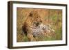 Jaguar-null-Framed Premium Photographic Print