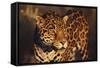 Jaguar-DLILLC-Framed Stretched Canvas